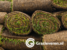 Graszoden Eindhoven Graszoden Eindhoven