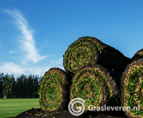 Graszoden kopen via Grasleveren.be